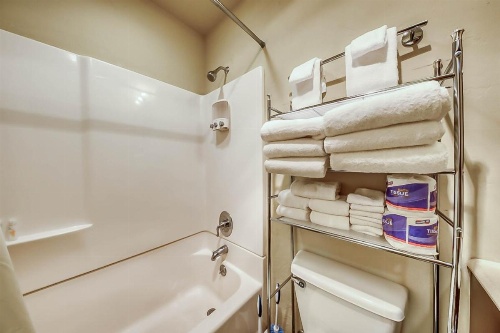 101 S. Village Way #1A - Aspen View image 19