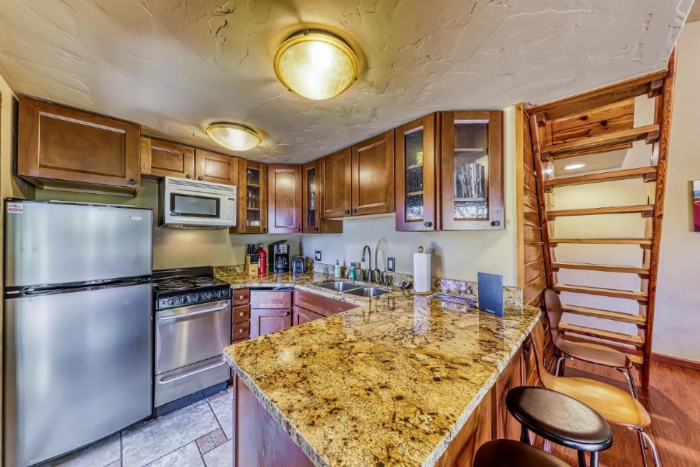 101 S. Village Way #1A - Aspen View